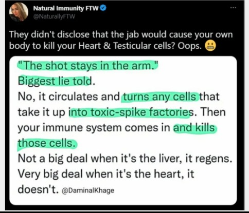 captures_chrome-capture-2023-0-30 (20)