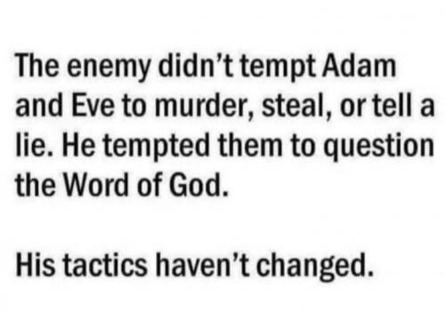 2fc92310-0261-4b08-87d9-6a9d41ddbf6e