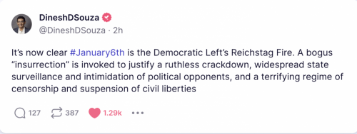 January 6 is Democrat Reichstag fire