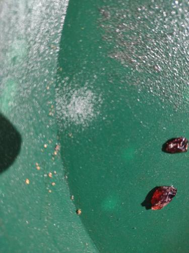 IMG_20230115_135601838