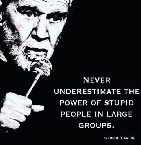 stupid people