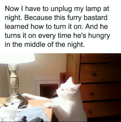 captures_chrome-capture-2023-0-20 (14)