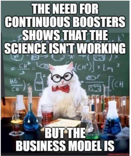 100aa3c4-a176-4f39-99ca-374b30708499