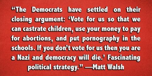 Democrat strategy