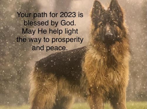 03FCD131-0723-4407-9289-5466C5CE4326