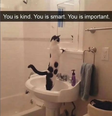 captures_chrome-capture-2023-0-20 (7)