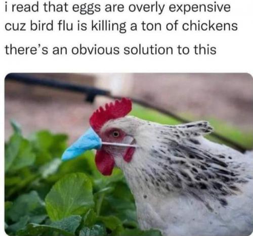 Screenshot_20230117_044818_Facebook