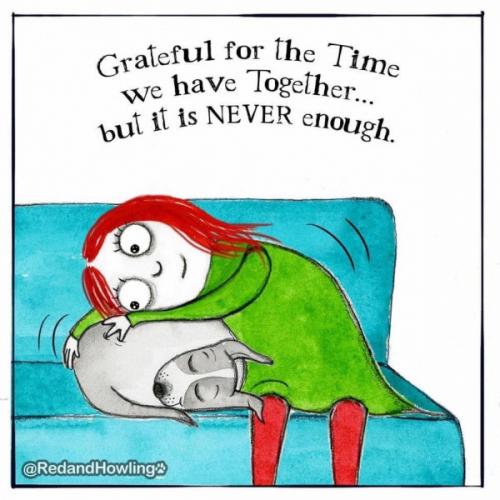 gltxwpaxrnfe4gehaddb53kaktnxdedk