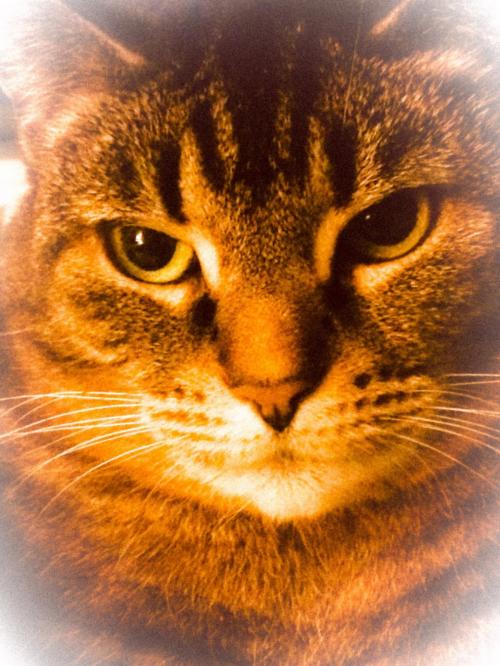 1A85CA19-67B6-4D85-B0A4-8761561C0029