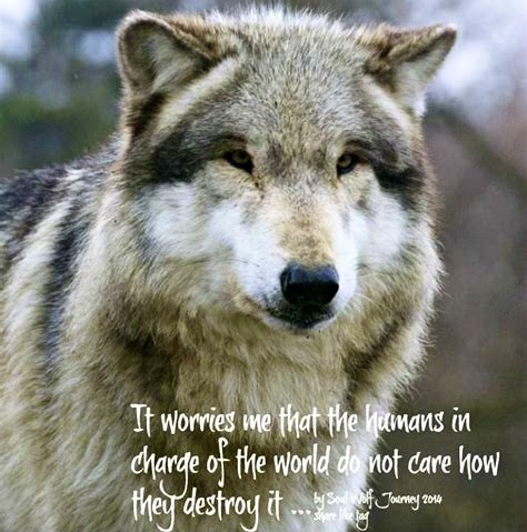 4FB7163D-EBBA-4D74-A425-84A6BC1AB158