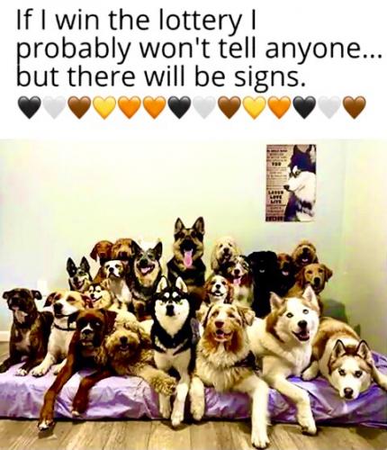 95D4B33A-101D-47EE-BC8C-D8AB68EB11FC