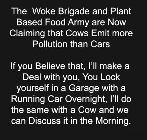 cows worse than cars