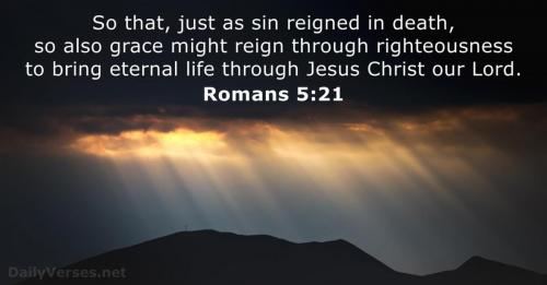 IMG_20230123_085831_526