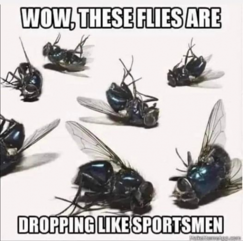 flies dropping like sportsmen