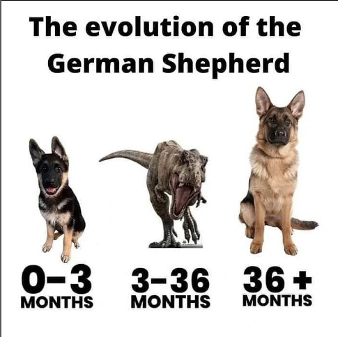 captures_chrome-capture-2023-0-30 (5)