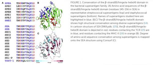 7123fda4686453105cdb7e4dab124b3164caf8d67424c09cfa5830123f9bb905