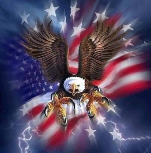 we shall take over this november election