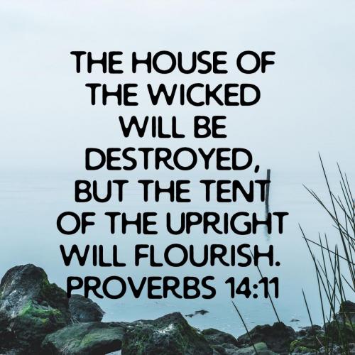 517a8da6-3c9a-4e30-8572-74e88f89c965