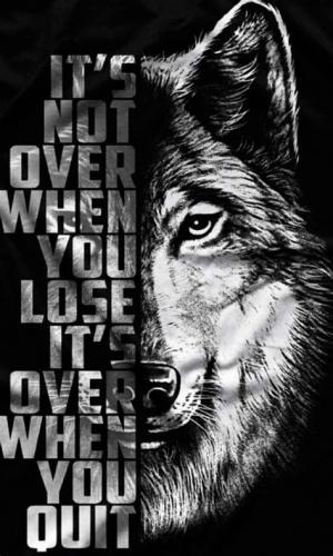 8708F374-90CF-4A6E-9172-65FDB2D2D212