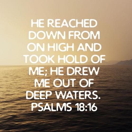 0c3e392d-6153-4df6-83b5-0f897c545d59