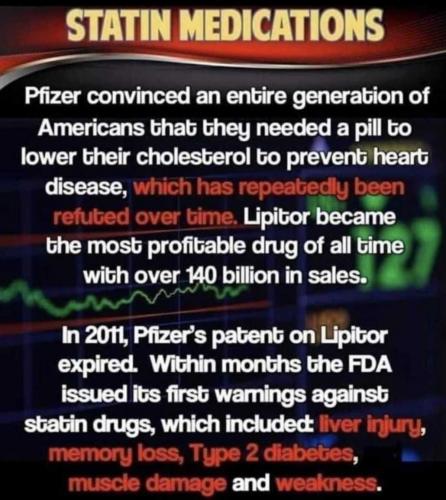 USA Statin meds