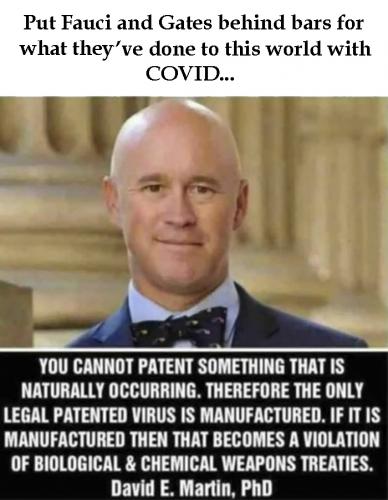 USA COVID