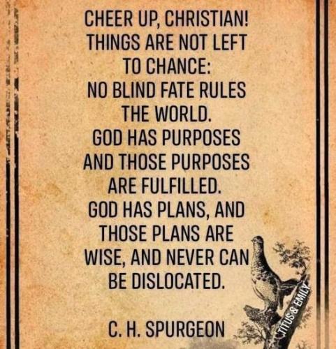 011423 - No blind fate (Spurgeon)