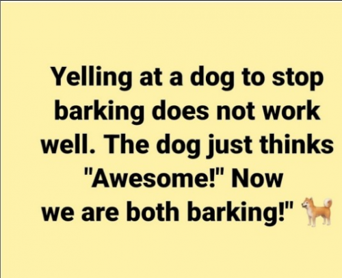 captures_chrome-capture-2023-0-20 (24)