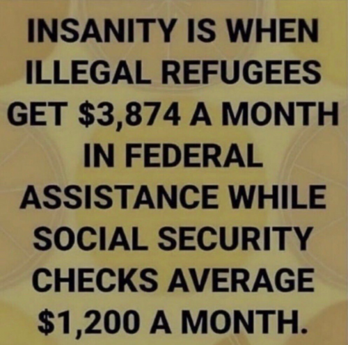 M insanity