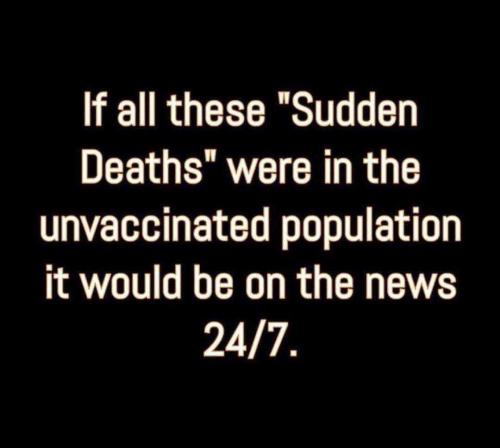 3537cfb1-743e-4917-a3e3-158f07edc816