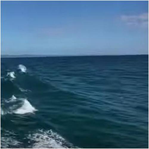 ss1atseaopenwaterislandsbehind