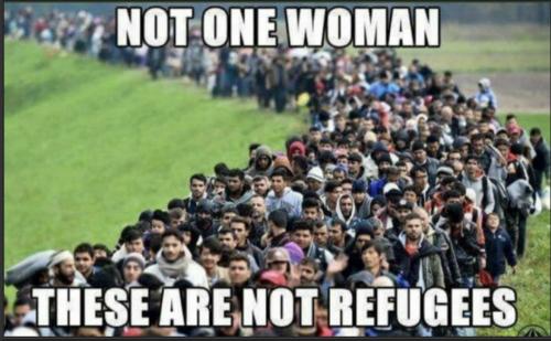 not refugees