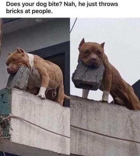 Bricks