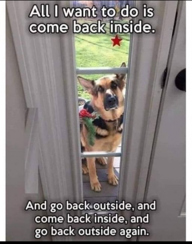 captures_chrome-capture-2023-0-30