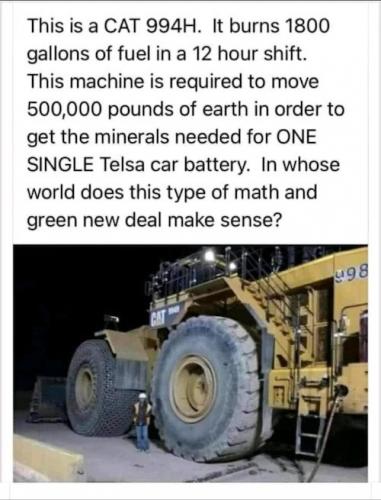 cat1