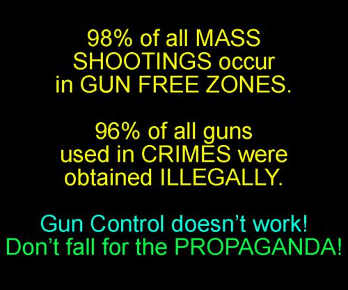 USA gun control