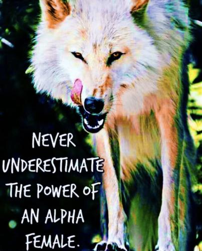 81B5F85D-B822-4702-92ED-858E0F028234