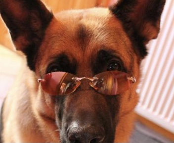 A1D48D2E-AB6C-4A27-8E2F-426DB73D2EDB