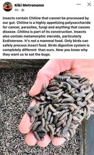 srlpuq8pbgcdqcld2cqfcuavsxymtg7v