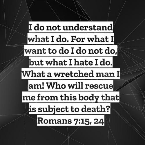 ee659fa1-3ecb-4a45-b930-02e53c35d1ab