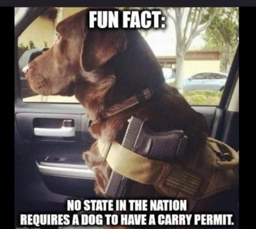 f810a06d-c1f2-4c6b-88e2-59ec67bc0fcb