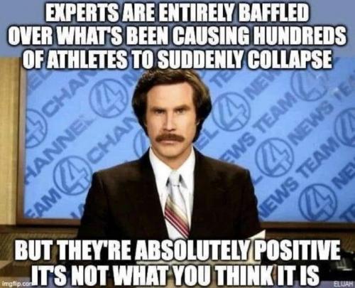 7e270e50-07bf-4e39-afc5-9fd049ae9afe