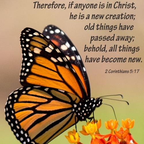 IMG_20230101_105237_893