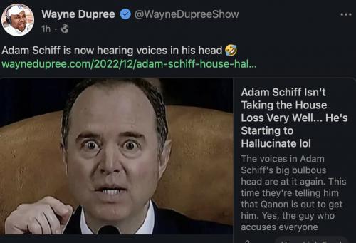 Schiff hearing voices
