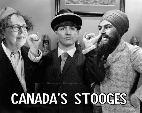 politician 40 - stooges