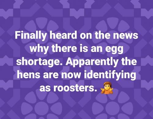 91e8ecbf-f382-4270-9704-44aec4fb561e