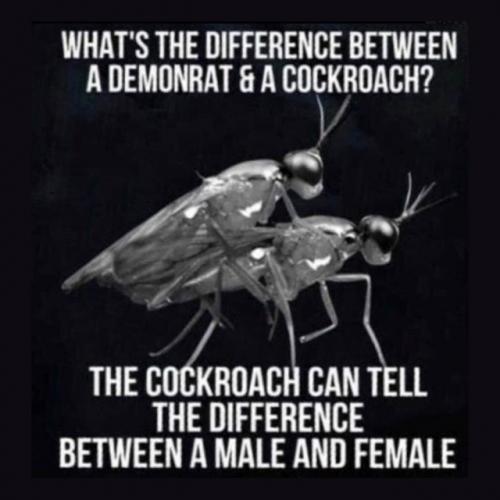 tumblr_e74fbff54509d2d44460d2e33d14695b_15b37e32_640