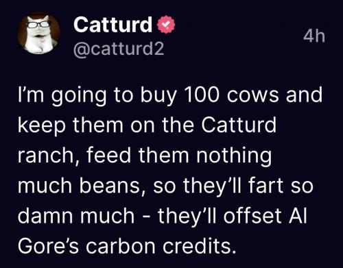 217EF699-7BCF-488A-9C4B-FE6440DFC902