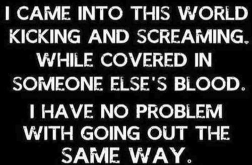 kick & scream
