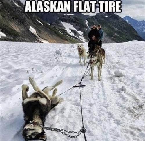 A14FC2FB-402C-4DEF-8473-44FAF4E6E2BB